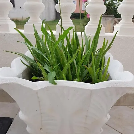 Apartmán Excelente Vir